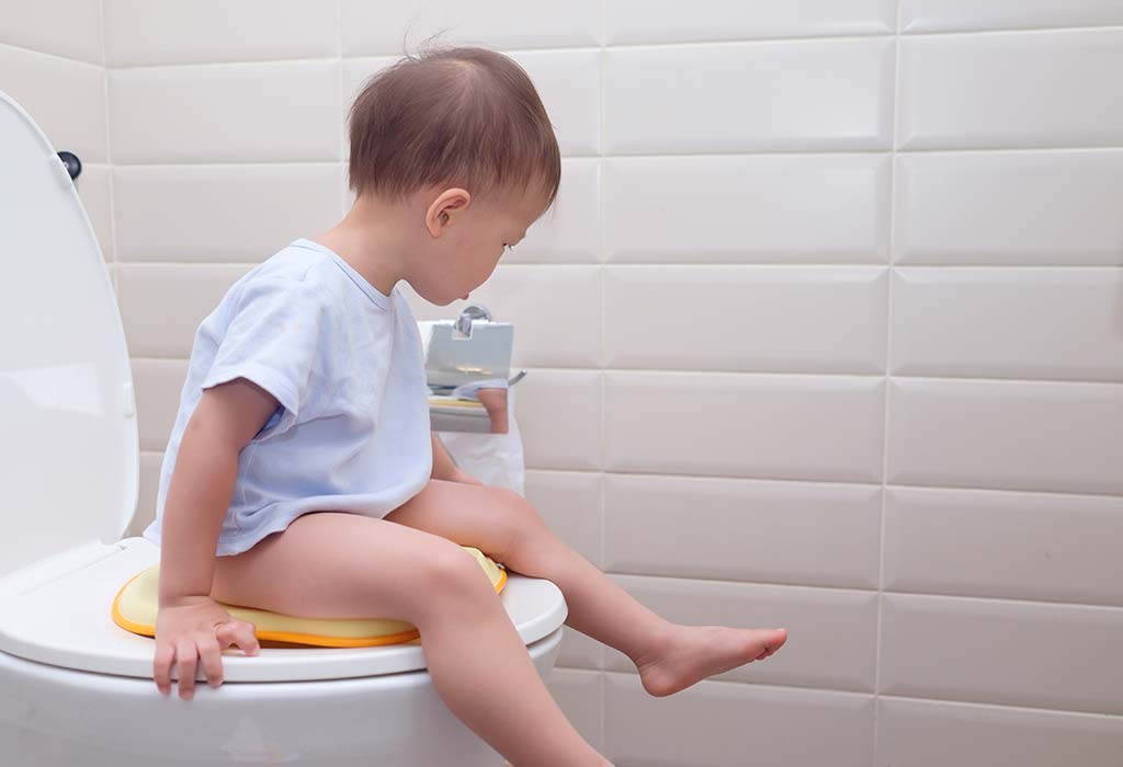 Potty Seat for Potty Training