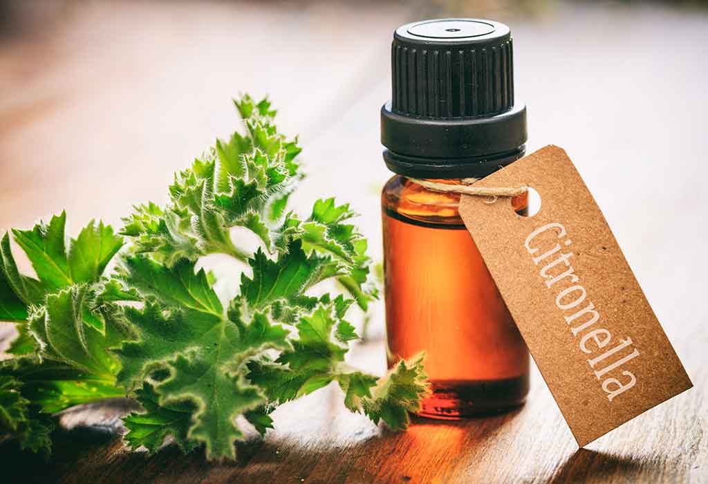 Citronella essential oil