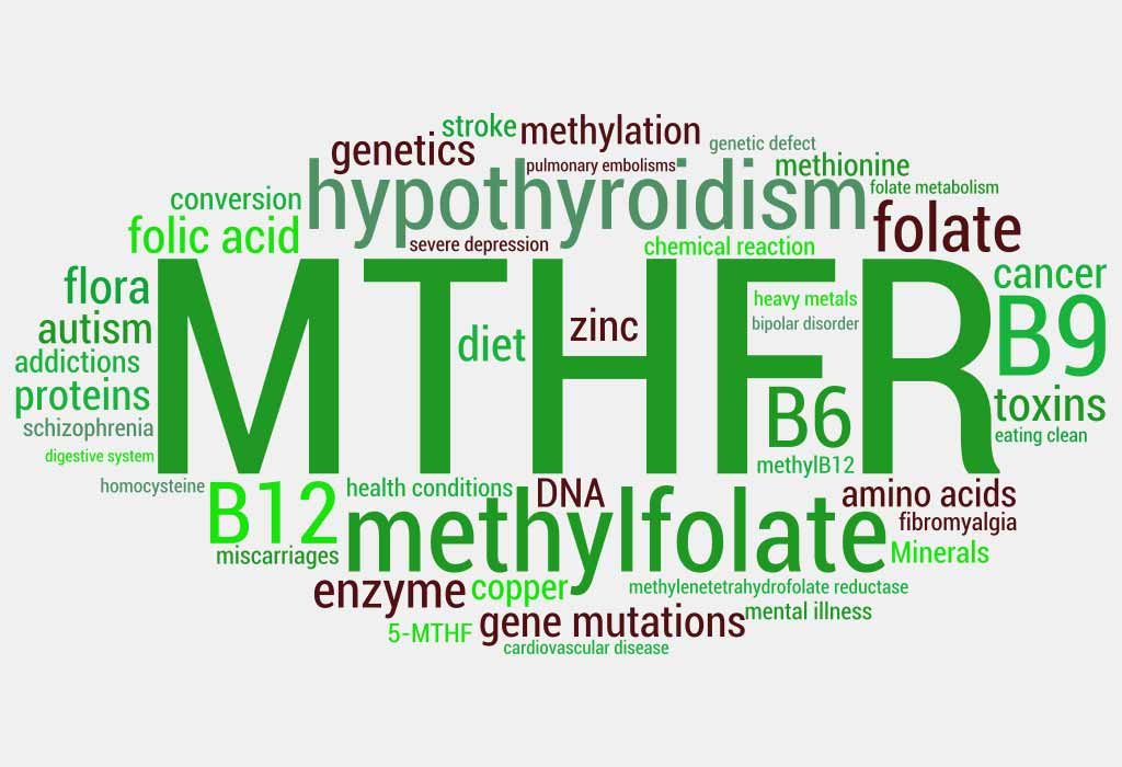 A MTHFR Pregnancy