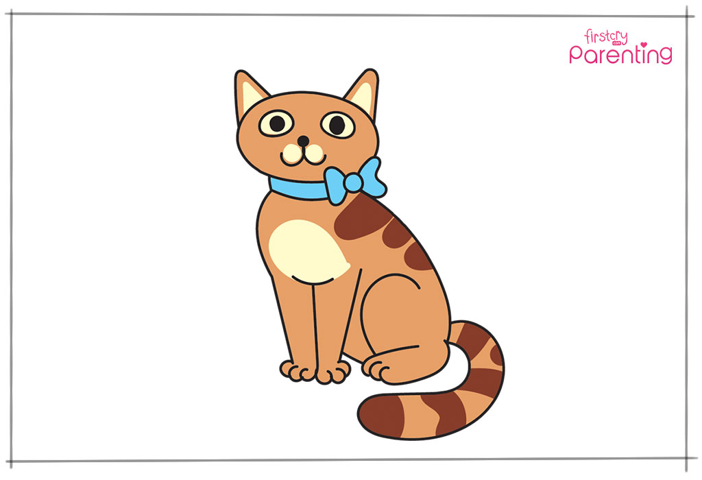 Draw Details and Color the Cat