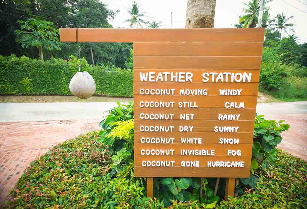 Weather Forecast Board